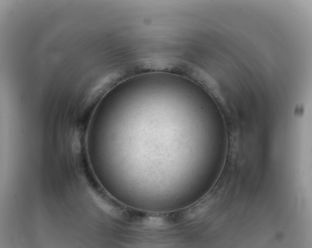 X0000092090114200709191253