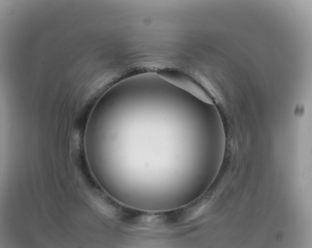 X0000092090117200709191253