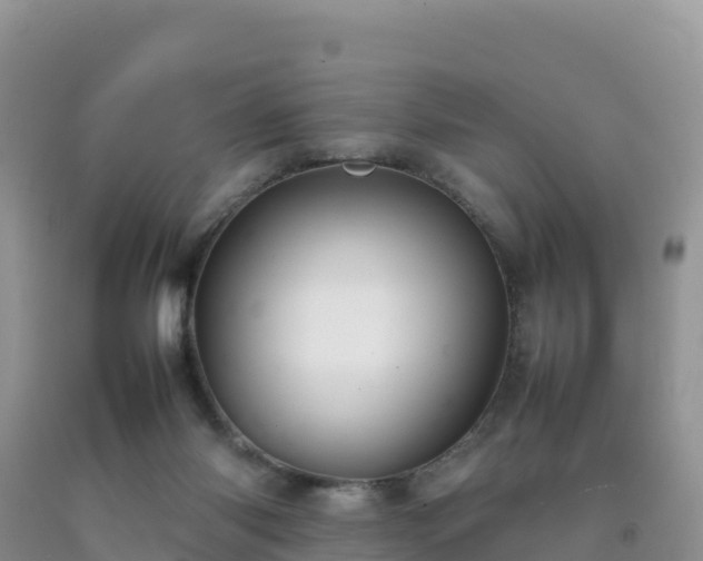 X0000092090118200709191253