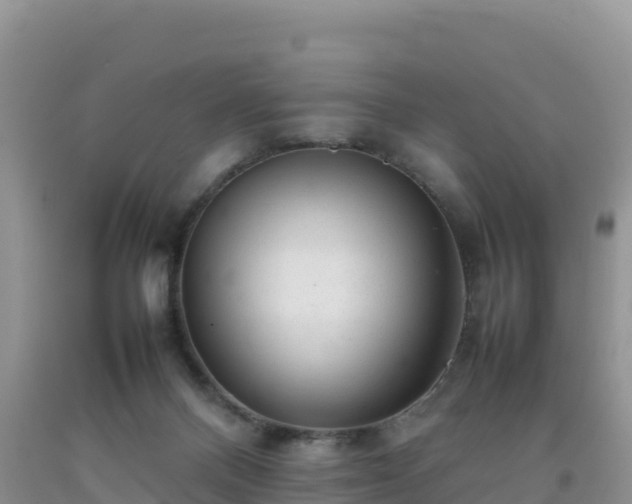 X0000092090120200709191253