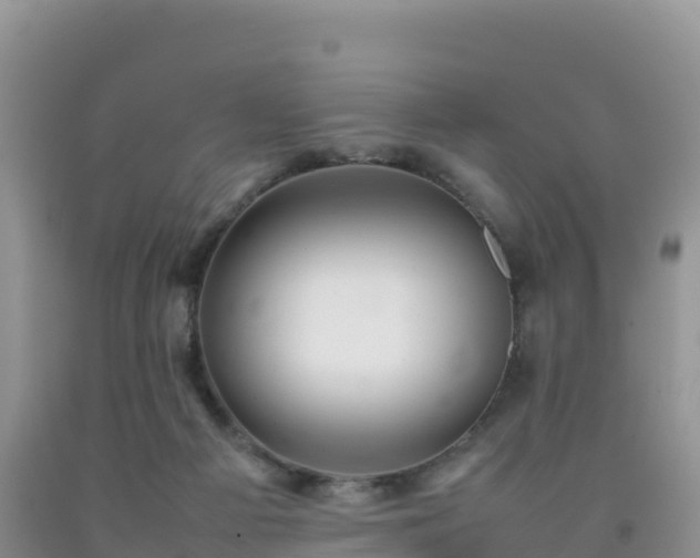 X0000092090121200709191253