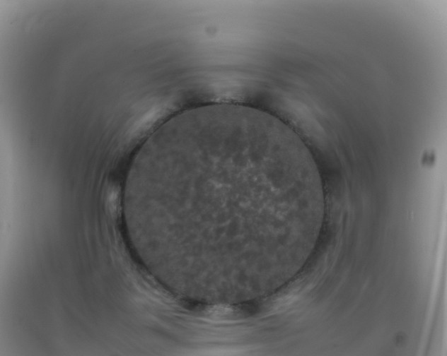X0000092090123200709191253