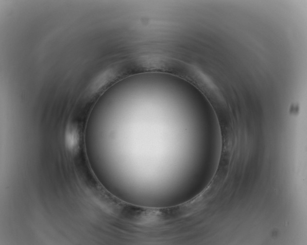 X0000092090124200709191253