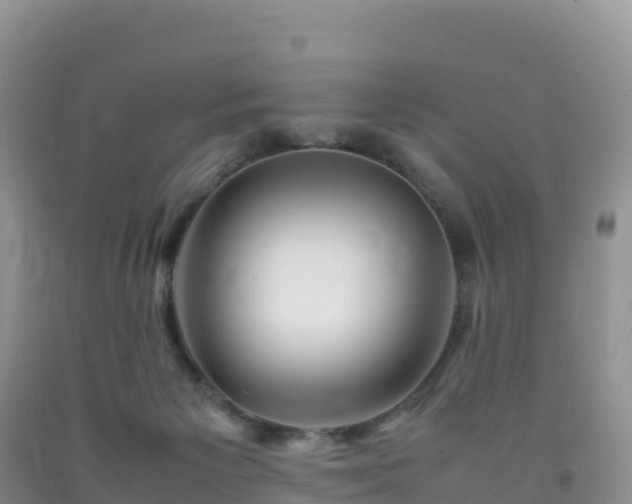 X0000092090125200709191253