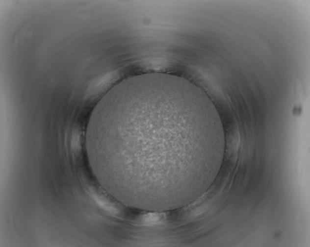 X0000092090126200709191253