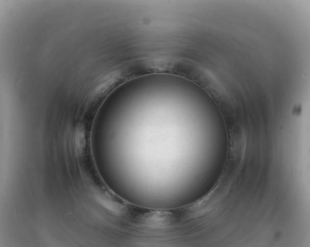X0000092090128200709191253