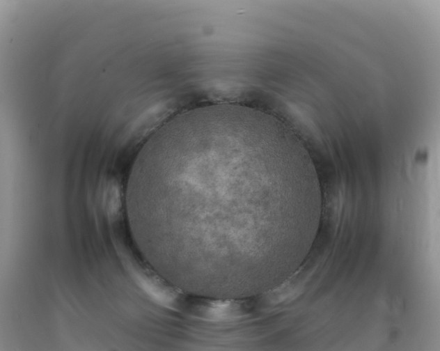 X0000092090130200709191253
