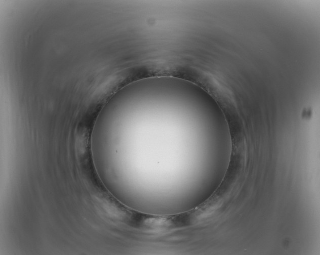 X0000092090133200709191253