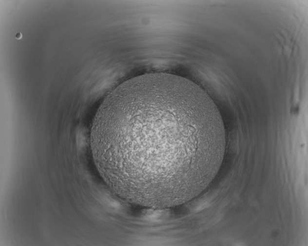 X0000092090135200709191253