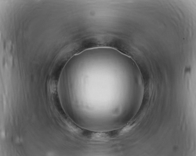 X0000092090137200709191253