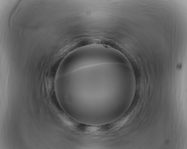 X0000092090139200709191253