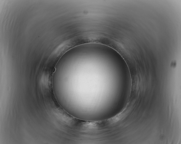 X0000092090140200709191253