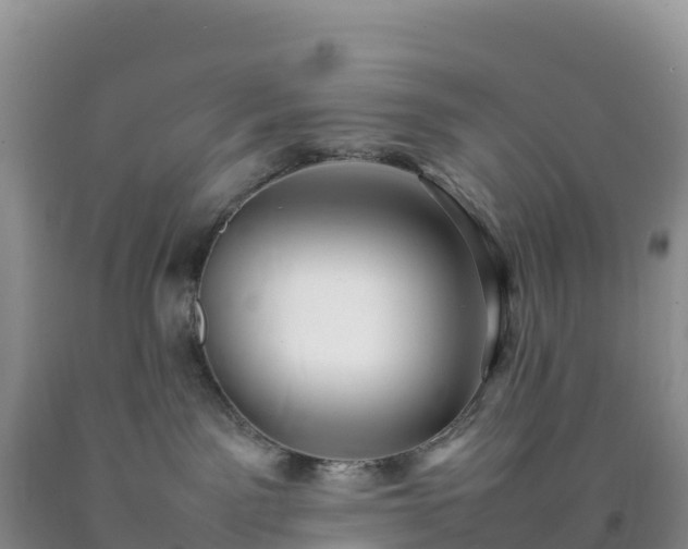 X0000092090141200709191253