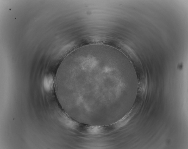 X0000092090142200709191253