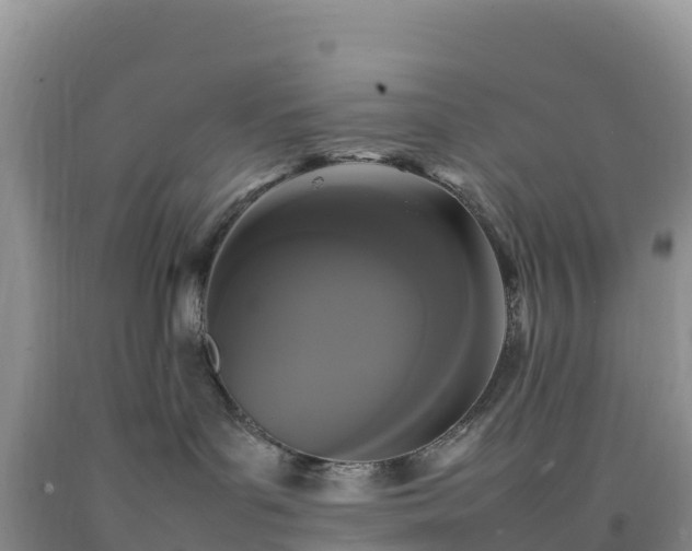 X0000092090143200709191253