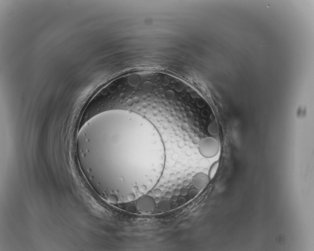 X0000092090145200709191252