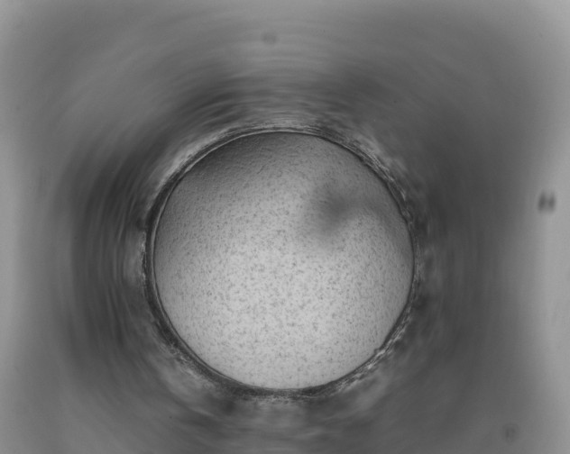 X0000092090146200709191252