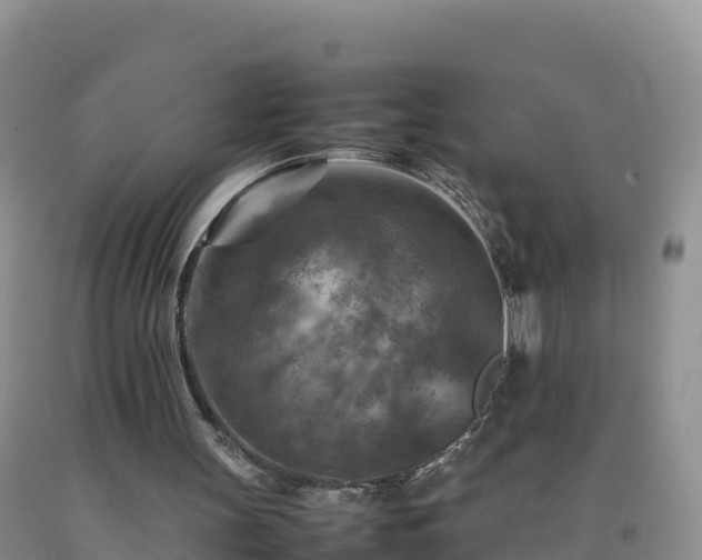 X0000092090147200709191252