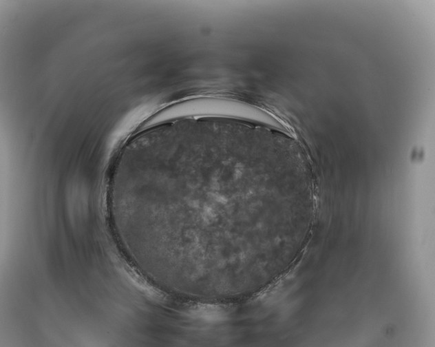 X0000092090149200709191252