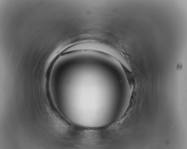 X0000092090150200709191252