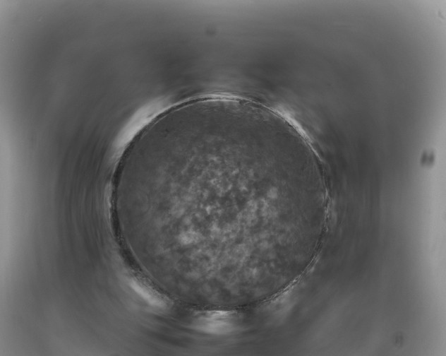 X0000092090151200709191252