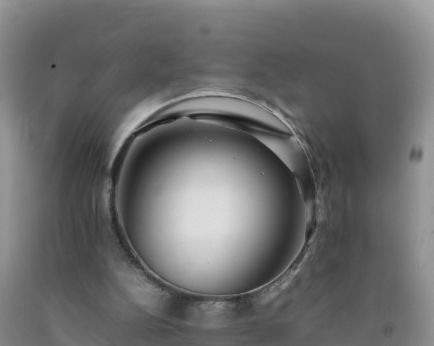 X0000092090152200709191252