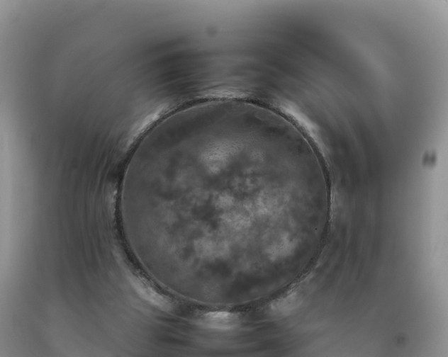 X0000092090153200709191252