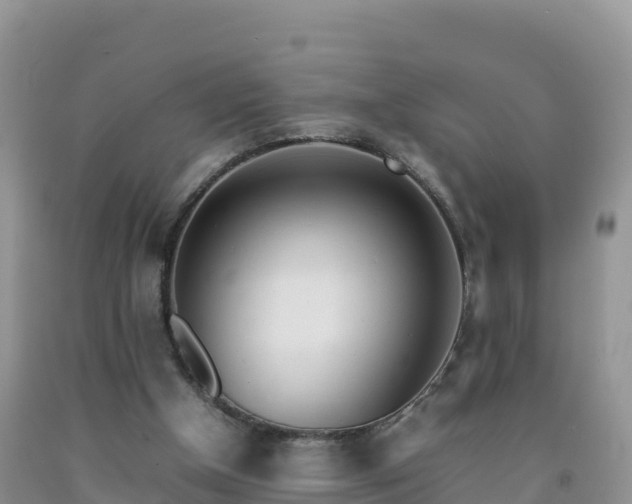 X0000092090154200709191252
