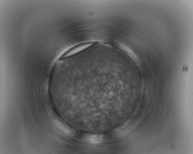 X0000092090155200709191252