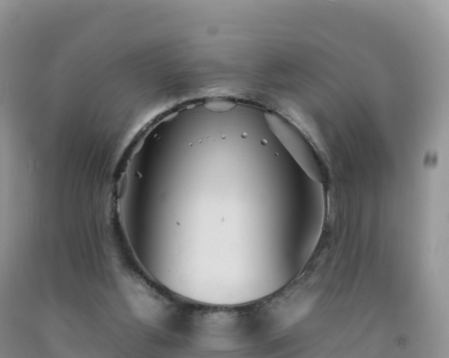 X0000092090156200709191252