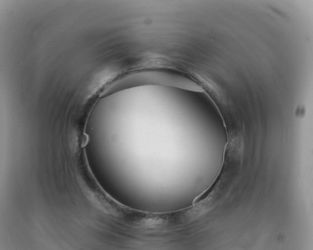 X0000092090158200709191252