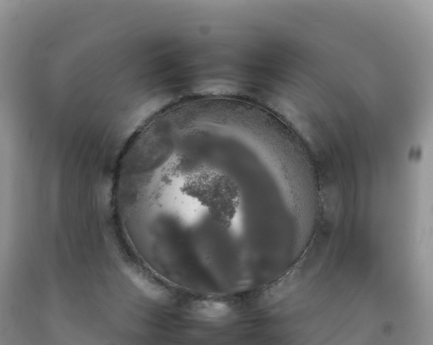 X0000092090159200709191252