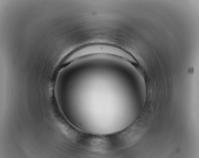X0000092090160200709191252