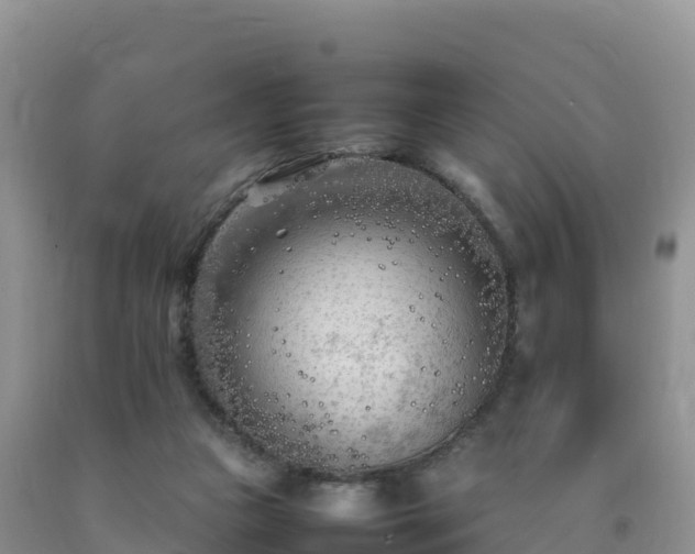 X0000092090161200709191252