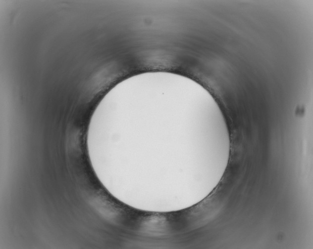 X0000092090162200709191252