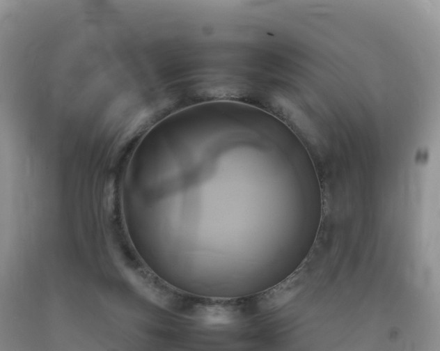 X0000092090163200709191253