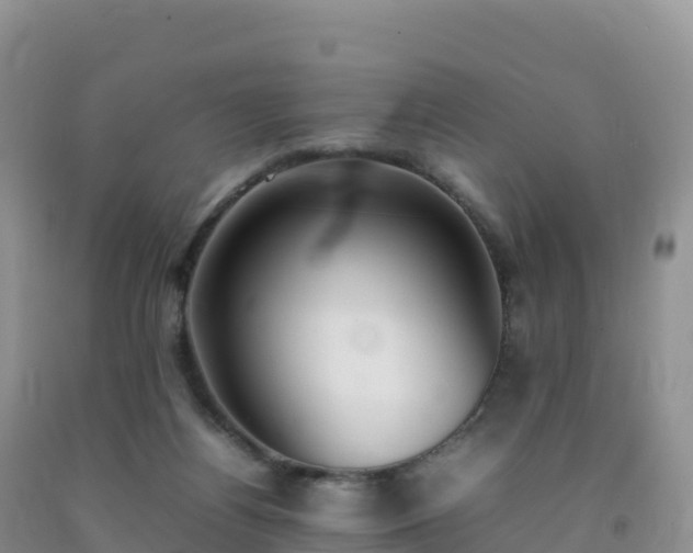 X0000092090164200709191253