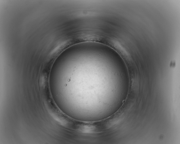 X0000092090165200709191253