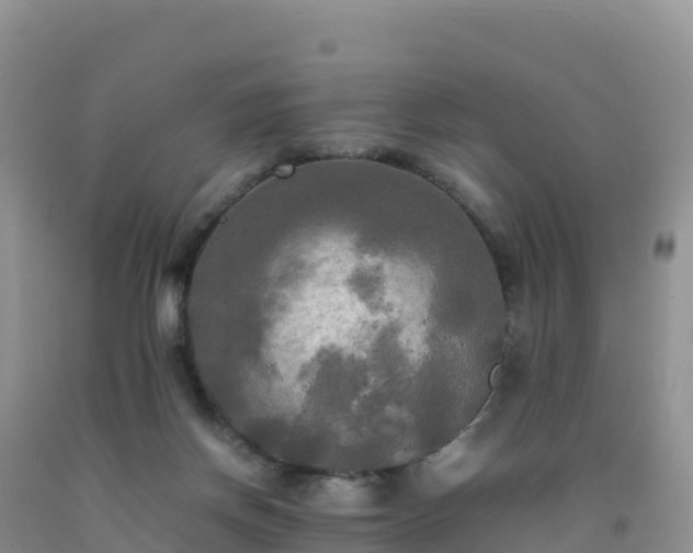 X0000092090166200709191253