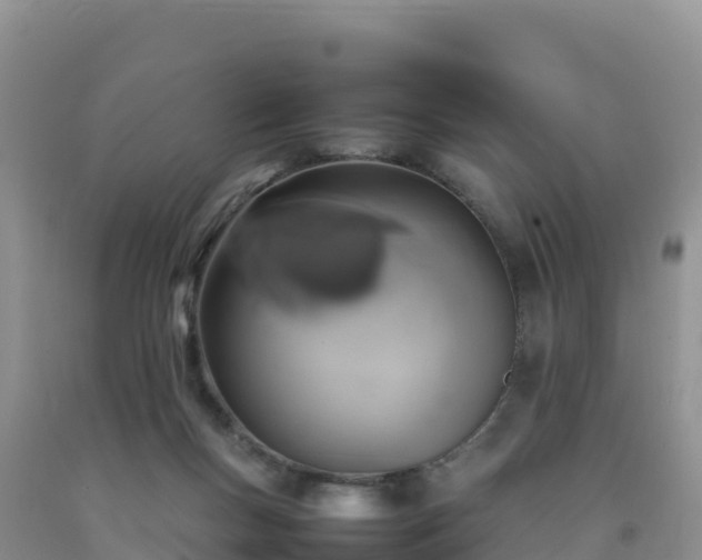 X0000092090167200709191253