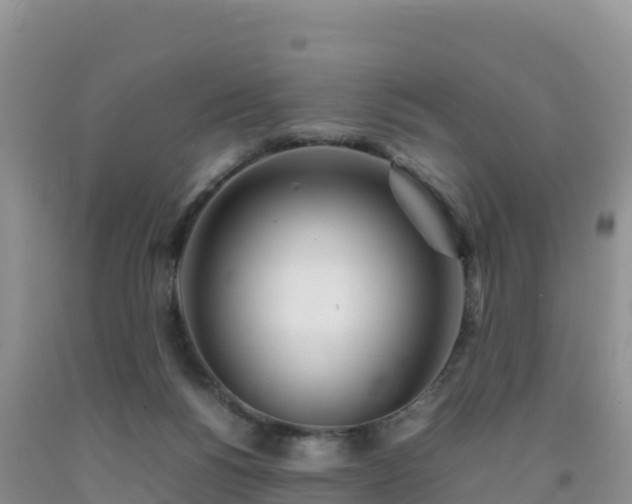 X0000092090168200709191253