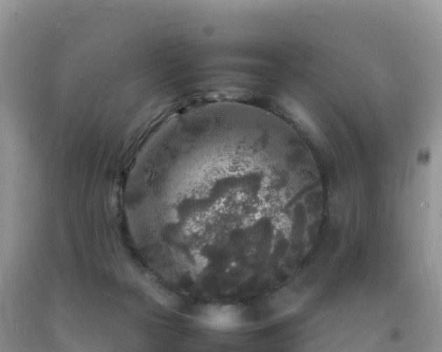 X0000092090169200709191253