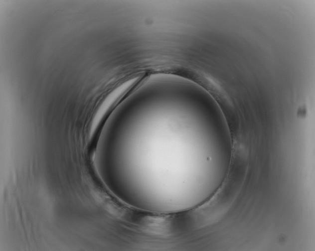 X0000092090170200709191253