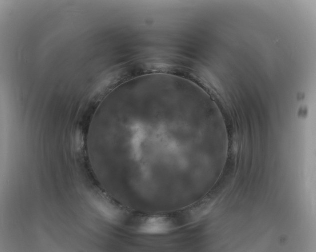 X0000092090173200709191253