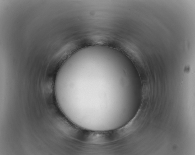 X0000092090174200709191253