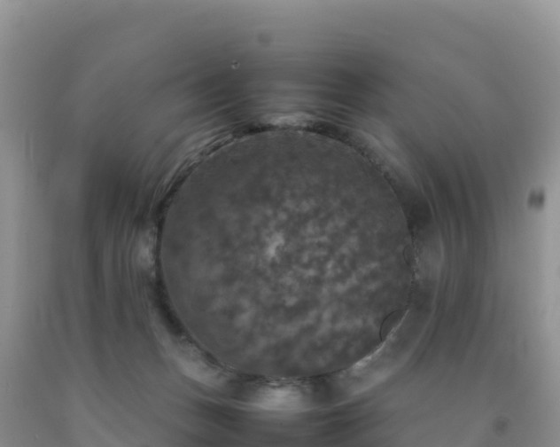 X0000092090175200709191253