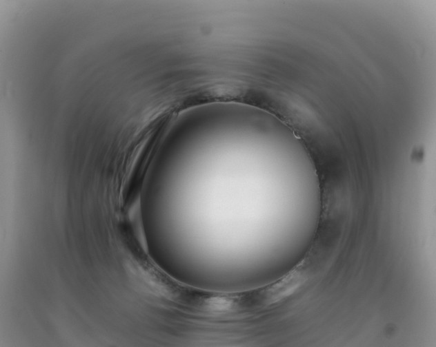 X0000092090176200709191253