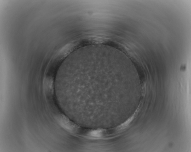 X0000092090178200709191253