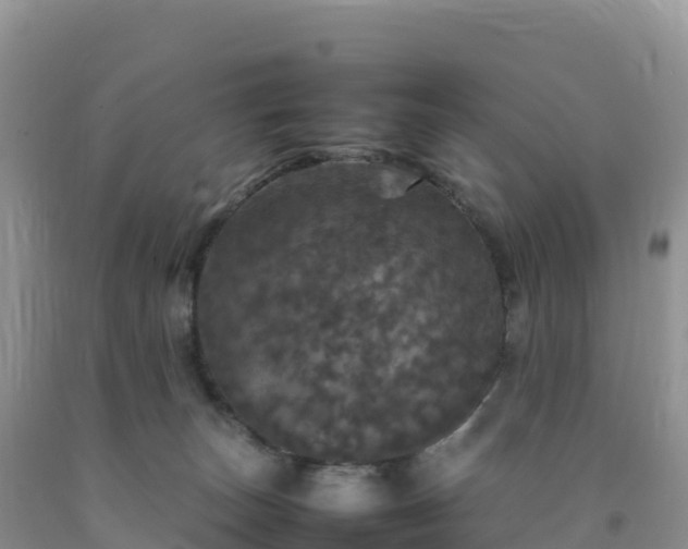 X0000092090179200709191253