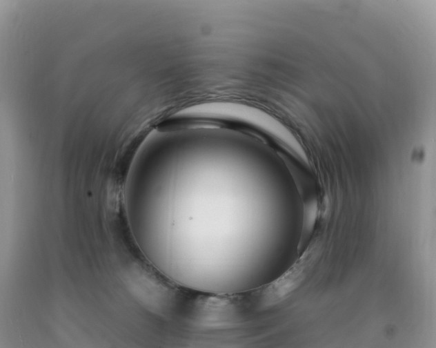 X0000092090180200709191253